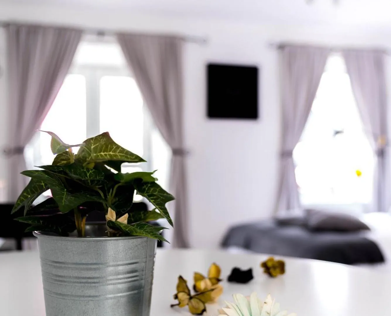 *** Guest house Amica Guesthouse Belfast United Kingdom