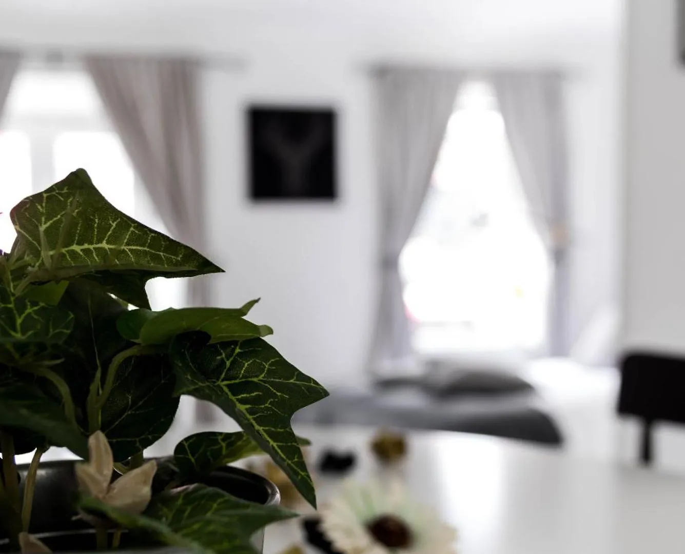 Guest house Amica Guesthouse Belfast